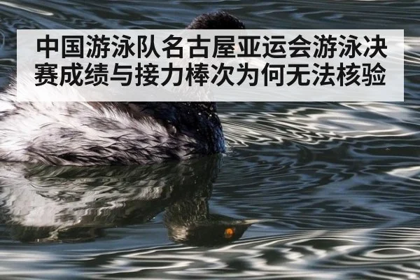 中国游泳队名古屋亚运会游泳决赛成绩与接力棒次为何无法核验